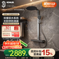 科勒 雨神2.0恒温花洒淋浴套装卫浴花洒喷头阀芯上门安装 墨影灰
