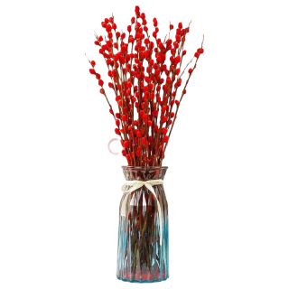 致荟树 银柳红色 10支 80厘米高 不含瓶