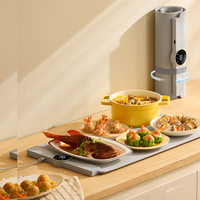 生活元素 折叠暖菜板 5档速热 67*38