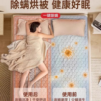 雅鹿 水暖毯水循环电热毯单双人智能语音家用电褥子水暖炕除螨无辐射 【智能触控+AI语音】双层亲肤棉1.8*1.5m