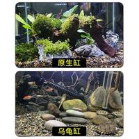 HANYANG鱼缸溪流石溪流缸底砂造景底沙子水草装饰雨林缸铺底石头子2kg