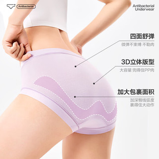 全棉时代 7A抗菌 奶白-线条 2XL 3条装 女士内裤