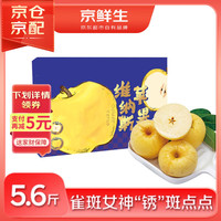 京鲜生 13°鎏金维纳斯苹果 12个礼盒装 净重5.6斤