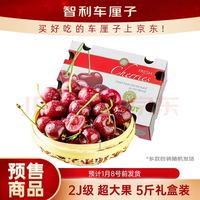 移动端、京东百亿补贴：京鲜生 智利Lapins车厘子2J级5斤礼盒装 果径约28-30mm新鲜水果