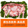 锡林食鲜生（XILINSHIXIANSHENG）整只全羊30斤锡林郭勒烤全羊年货礼盒烧烤食材可整可切内蒙烤全羊 全羊分割8块30斤