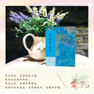 徐志摩散文精选/名家散文典藏（彩插版）