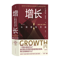 智慧宫026·增长 比尔盖茨2019年度书单图书 破除增长至上的既有迷思,探索可持续发展的全新路径