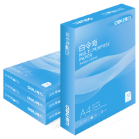 得力 白令海A4打印纸 70g500张*4包一箱 双面高性价比复印纸 整箱2000张7773