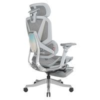 ENOVA合金大师 人体工学椅电脑椅人工力学座椅撑腰久坐办公椅电竞椅 MATREX版 银河灰【太空舱脚踏】