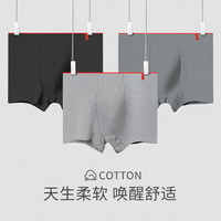 男士纯棉抗菌四角内裤 2条