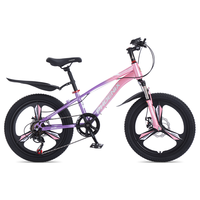 PHOENIX 凤凰 山地自行车男女变速山地车