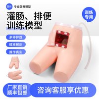 医训YX/15高级灌肠和辅助排便训练模型排便病人练习护理专业技能训练模型