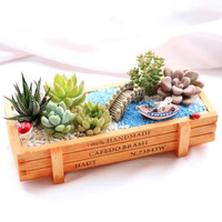 花艺萌多肉植物组合盆栽含盆含土创意diy拼盘花盆肉肉植物室内绿植花卉 小桥流水 含盆