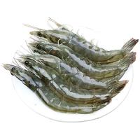 北海湾 青岛大虾 18-20厘米 4斤