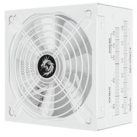 长城 巨龙GW系列 金牌（90%）全模组ATX电源 1250W 白色