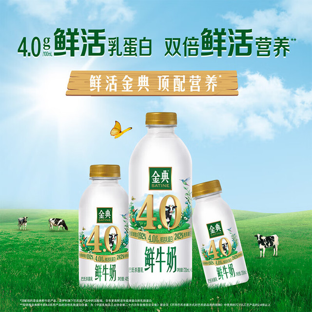 伊利 金典鲜牛奶 235ml*4瓶 巴氏杀菌低温鲜牛奶