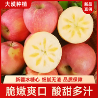 新疆冰糖心苹果脆甜多汁红富士苹果丑苹果当季新鲜水果 中果70-75mm含箱2.5斤