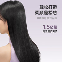 徕芬高速吹风机 速干护发家用电吹风 负离子吹风筒  SE lite蓝灰色+风嘴+支架