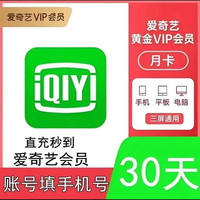爱奇艺 vip黄金会员一个月