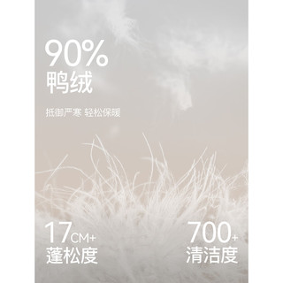 ELLE90白鸭绒灰色短款连帽羽绒服女2025冬季休闲拼接保暖外套 浅灰 M