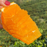 迭果重庆奉节纽荷尔脐橙新鲜水果当季手剥橙子果冻橙甜橙 纽荷尔脐橙 18斤装中大果32-37个