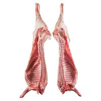 伊莱曼诺(ILEMANO)宁夏滩羊肉 生鲜分割整半只羊 羊腿羊排羊蝎子羊肉卷礼盒 清真 现宰整半只15斤 现宰现砍整半只15斤