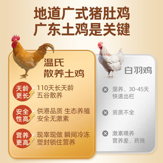 温氏 胡椒猪肚鸡火锅套餐3-4人份*2（2斤*2）火锅食材 土鸡 冷冻