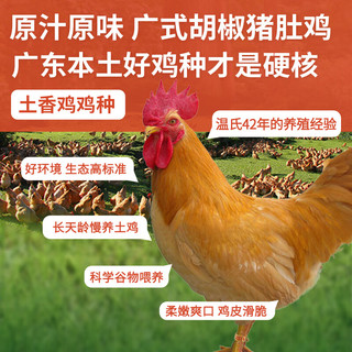温氏 胡椒猪肚鸡火锅套餐3-4人份*2（2斤*2）火锅食材 土鸡 冷冻