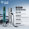 特来电（TELD）一体式直流充电桩80kW/120kW/160kW/群充 非标准交期25天  一经售出不支持退换货 液冷超充终端智能直流桩