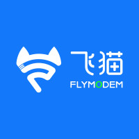飞猫