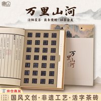 唐贝 陕西特产泾阳茯茶万里山河活字茶黑毛茶高端文创伴手礼送人礼盒装 万里山河活字茶