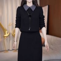 假两件秋冬款连衣裙女2024冬季加绒加厚配大衣打底内搭长裙子