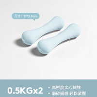 哑铃女士家用儿童纯铁哑铃瑜伽器材铸铁小哑铃力量训练1kg2kg 更多