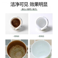 亮茶垢清洁泡腾片茶垢白色茶具清洁除异味去污清洁泡腾片 泡腾片10片【一盒】