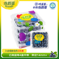 每盒12.5元！怡颗莓Driscoll's 当季云南蓝莓 14mm+ 125g*4盒装