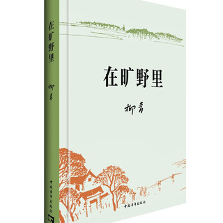 在旷野里    荣获第十七届精神文明建设“五个一工程”优秀作品  柳青  新中国文学史上的遗珠  工作作风  深入生活  人民