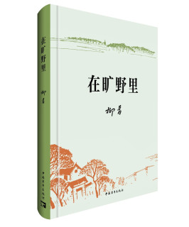 在旷野里    荣获第十七届精神文明建设“五个一工程”优秀作品  柳青  新中国文学史上的遗珠  工作作风  深入生活  人民