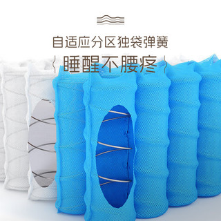  CBD FURNITURE/CBD家居 独袋弹簧 床垫  乳胶床垫 软硬适中 200*220cm