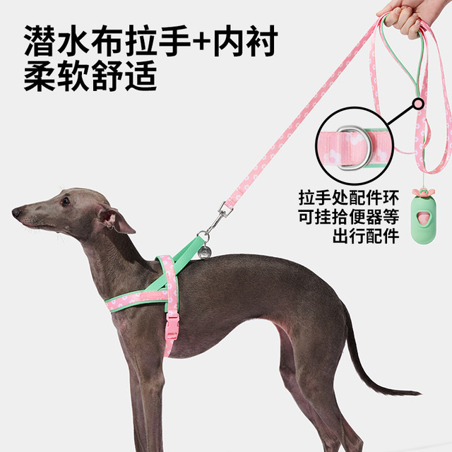 未卡 花花胸背牵引绳套装