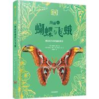 DK绚丽的蝴蝶与飞蛾 英国DK公司 DK珍奇博物馆系列 6岁以上 儿童科普读物