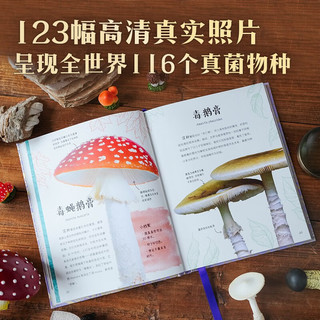 《DK奇幻静谧的真菌界》DK珍奇博物馆系列 儿童科普读物