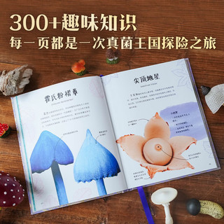 《DK奇幻静谧的真菌界》DK珍奇博物馆系列 儿童科普读物