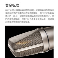  Neumann/诺音曼 专业演出演唱 电容麦克风