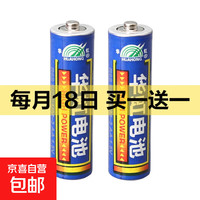 华虹 小学生儿童木质手工礼物早教益智亲子互动 小玩具专用5号电池2节（1对）
