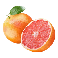 庄庚南非进口红西柚 柚子葡萄柚 新鲜当季孕妇水果爆汁红肉 西柚单果