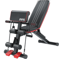 多德士（DDS）哑铃凳折叠卧推凳多功能仰卧起坐器材飞鸟凳1216D