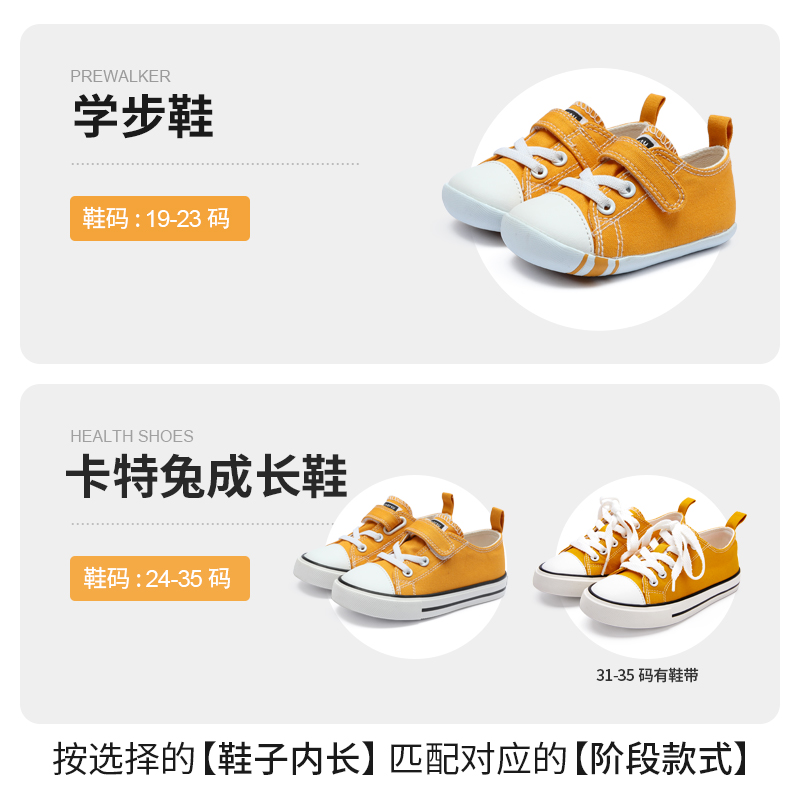 休闲姜黄