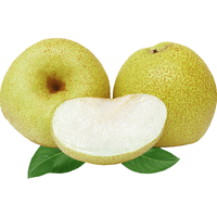 Mr.Seafood 京鲜生 砀山酥梨 单果250-350g 5kg 礼盒装