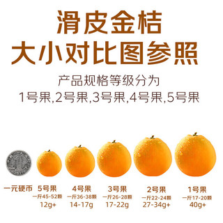 京觅广西融安 第二代滑皮金桔脆皮金桔净重4.5斤单果12g+水果源头直发 【地标产品】4.5斤单果12g+