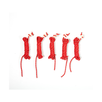 静星 JINGXING 静星 帐篷户外露营反光风绳 大力马天幕拉绳 2mm 4mm